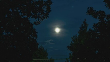 Moon in night among the trees