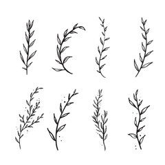 A selection of 8 individual leaf branch sprigs in black and white sketch style. Vector.