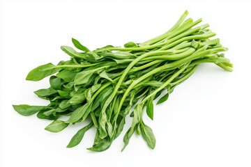 Fresh bunches of bright green spinach