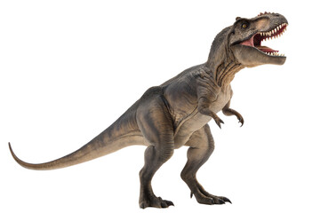 Isolated tyrannosaurus rex in white background