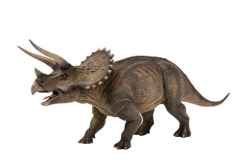 Fototapeta premium Triceratops dinosaurs toy isolated on white background with clipping path.