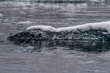 Fototapeta premium Detail of a patch of Antarctic sea ice, containing wonderous shapes and deep blue colours.