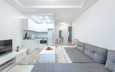 Modern Bright Interior of Open Space Concept Home Living Room and Kitchen Interior. Couch and Sofa, Fruits, TV, Coffee Table and Carpet on the Floor. Scandinavian Style