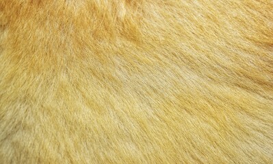 brown texture