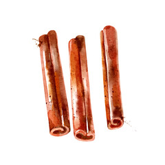 Kitchen herbs and spices. Vector illustration. Watercolor cinnamon