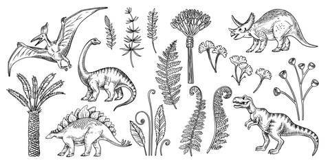 Hand drawn sketch dinosaurs set. Vector isolated illustration © pim