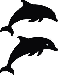 Fototapeta premium A silhouette of a dolphin