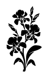 Flowers in the season of beauty