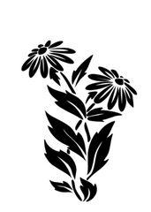 Flowers in the season of beauty