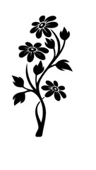 Flowers in the season of beauty