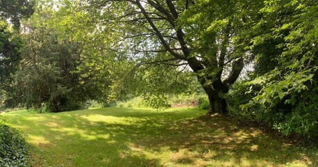 La campagne en juin à Briec en Bretagne Finistère