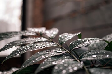 Fresh green leaves covered in raindrops, a close-up of natural beauty