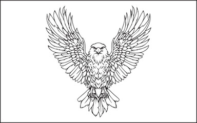 Fototapeta premium eagle with wings silhouette
