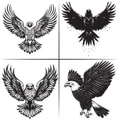 Obraz premium eagle with wings silhouette