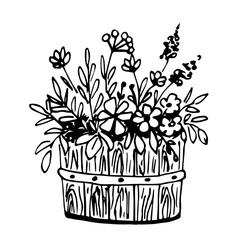 A beautiful bouquet of flowers in a wooden tub, flowerpot. Simple vector drawing with black outline. Sketch in ink.