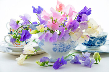 sweet peas in a blue and white vase against a white background