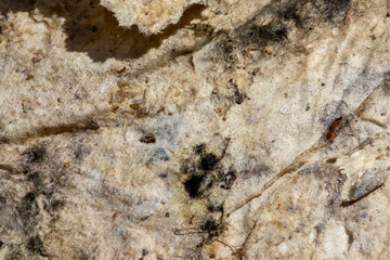 texture of stone