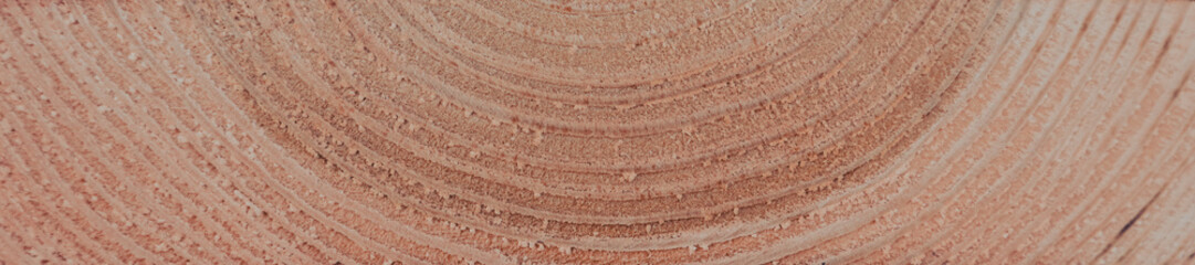 Wooden hardwood textured background. Natural wood texture