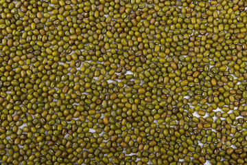 Fresh mung bean pellets