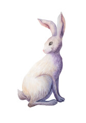 Rabbit. Alice in Wonderland. Watercolor Easter white rabbit.