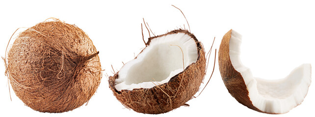 set of coconuts isolated on white background