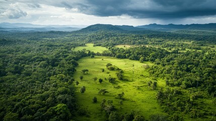 Obraz premium Lush Green Tropical Forest Aerial View - Serene Landscape