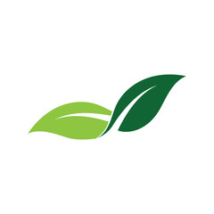 Leaf Logo Images design Template Icon