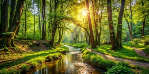 Sunbeams illuminate the winding path through a lush, verdant forest, leading to a tranquil stream glistening with the reflection of a golden sunrise.