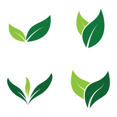 Leaf Logo Set  Images design Template Icon