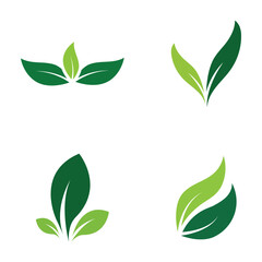 Leaf Logo Set  Images design Template Icon