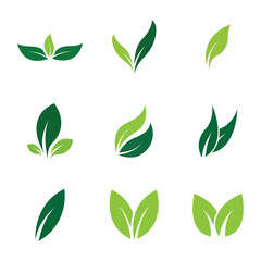 Leaf Logo Set  Images design Template Icon