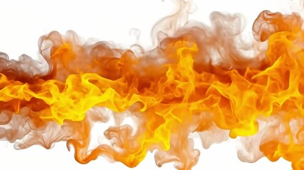 fire and flame blaze shoots across white backgroun