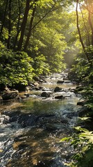 Fototapeta premium Captivating stream glistening in sunlight in green forest, landscape, green, glistening, forest