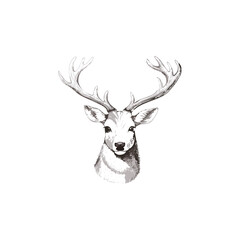 Christmas Deer Sketch Celebration Decoration Winter Event Festival of X-Mas
