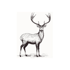 Christmas Deer Sketch Celebration Decoration Winter Event Festival of X-Mas
