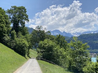 Promenade along Lake Lungern or recreational trails along the natural reservoir Lungernsee - Canton of Obwald, Switzerland (Spazierwege entlang des Lungererses - Kanton Obwalden, Schweiz)