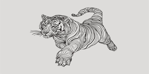 Coloring Sketch of a Crawling Tiger