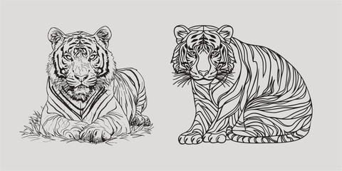 Coloring Sketch Sketching 2 Sitting Tigers