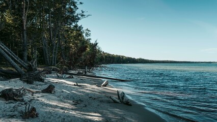 boat on the beach