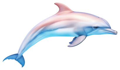 Obraz premium PNG Dolphine animal mammal fish.