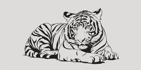 Black and white coloring painting of a lying tiger