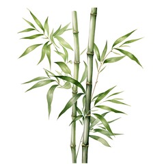 Green bamboo stalks and leaves celebrating chinese new year