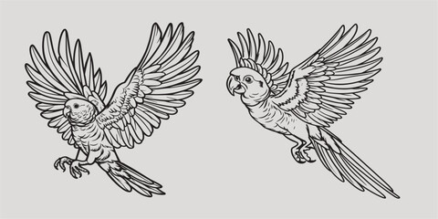 Coloring page sketching 2 parrots in flight