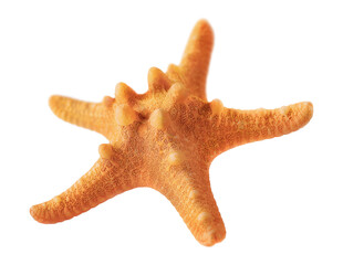 flying orange starfish isolated on white background