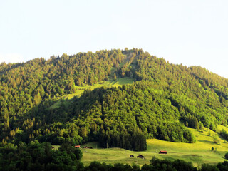 Alpine mountains above Lake Lungern or mixed forest above the natural reservoir Lungernsee - Canton of Obwald, Switzerland (Alpenberge und Mischwald oberhalb des Naturstausee Lungererses - Schweiz)