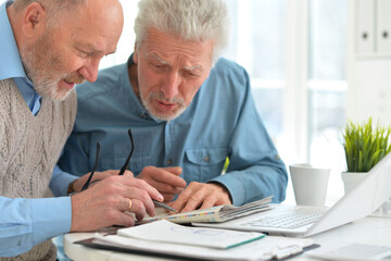 Portrait of two elderly men working on laptop in office