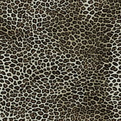 leopard texture, real wild cat fur, fur, spots, jaguar pattern, stylish design