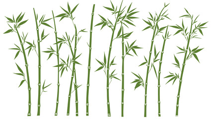 Obraz premium Bamboo forest stems. Jungle bamboo stems silhouettes, bamboo branches with leaves, decorative bamboo flat png illustration set on a transparent background