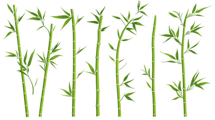 Obraz premium Bamboo forest stems. Jungle bamboo stems silhouettes, bamboo branches with leaves, decorative bamboo flat png illustration set on a transparent background
