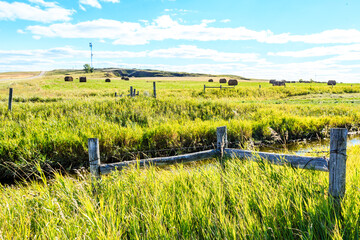 A field of grass with a fence in the middle